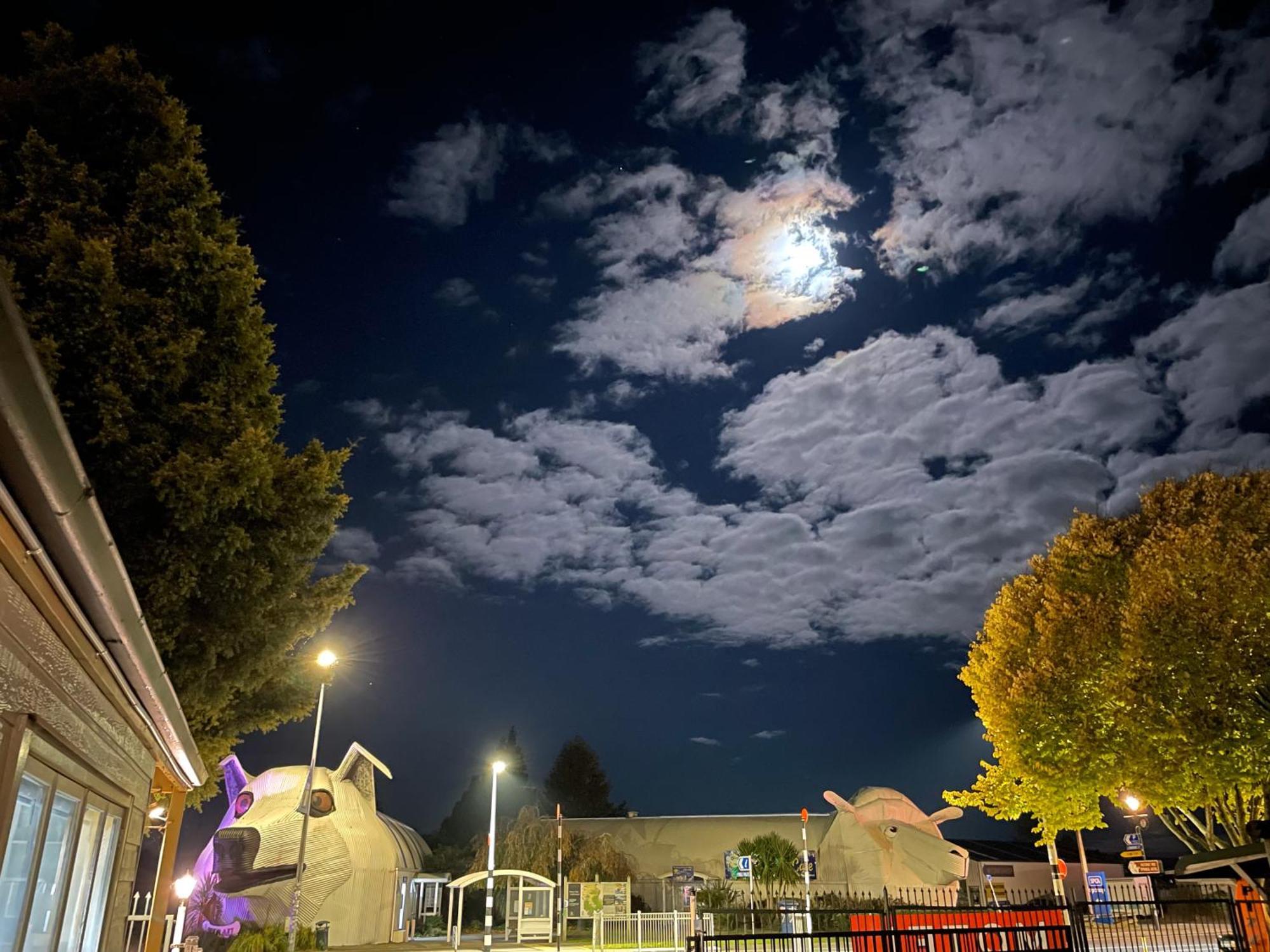 Tirau Woof Woof.....Motor Inn エクステリア 写真